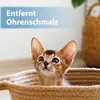 Felisept Ohrpflege Finger-Pads für Katzen 50 Stück Produktbild-Vorschau 2