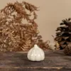 Kürbis Tranebo -vanilla: large Produktbild-Vorschau 3