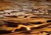 Akustikbild Tiere 200x100 cm Bilder Produktbild-Vorschau 4