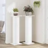 vidaXL Support pour plantes 2 pcs. Blanc 30x30x95 cm Bois Voir les images du produit 3