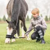 Suedwind Equestrian Stiefelette Nova FZ Vegan Black 33 Produktbild-Vorschau 9