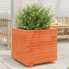 vidaXL Pflanzkübel Wachsbraun 50x50x49,5 cm Massivholz Produktbild-Vorschau 2