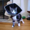 Collare per animali domestici All Four Paws Comfy Cone XL Anteprima dell’immagine prodotto 3