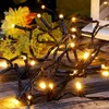 HELLUM luci fiabesche 80 LED bianco caldo per esterni Anteprima dell’immagine prodotto 7