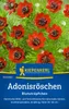 Kiepenkerl Adonisröschensamen Blutströpfchen Adonis Produktbild-Vorschau 3