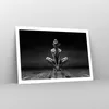 Poster - Poster ohne Rahmen - Tänzerin Frau Ballerina - Produktbild-Vorschau 7