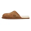 Ugg Scuff Braun - Hausschuhe für Männer - 1101111-CHE Produktbild-Vorschau 24