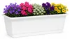 Blumenkasten geli Standard Kunststoff 40x17x14 cm weiß Produktbild-Vorschau 2