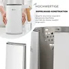 A collage of images showcasing a white electric kettle with a wooden handle, close-ups of its construction, and text highlighting its features. Produktbild-Vorschau