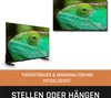 A television displaying a close-up of a chameleon's eye, with another smaller image of the same scene above it. Text overlays indicate features and placement options. Produktbild-Vorschau