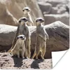 MuchoWow® Poster Familie - Erdmännchen - Tiere 75x75 cm - Produktbild-Vorschau 1