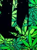 PSYWORK Schwarzlicht Stoffposter Neon "420", 1,0x1,4m Produktbild-Vorschau 4
