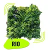 GeckoWall "RIO" | Prémiová stena z papradia džungle | Náhľad obrázku produktu 2