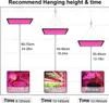 Diagram showing recommended hanging height and time for LED grow lights for different plant types (fruits, vegetables, flowers). Náhled obrázku produktu