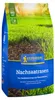 Artikelbild 2 von 'Kiepenkerl Nachsaatrasen (2 Kg)' aus der Kategorie Rasennachsaat Produktbild-Vorschau