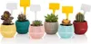 Lot de 6 pots de fleurs pour cactus de différentes Voir les images du produit 4