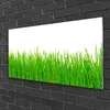 Acrylglasbilder 100x50 Wandbild Druck Gras Natur Produktbild-Vorschau 2