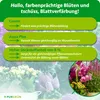 Purgrün -Blumendünger | Flüssigdünger mit Guano & Aqua Plus Produktbild-Vorschau 3