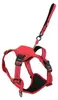 Harnais pour chien avec laisse EASY RIDE rouge M Zolux Voir les images du produit 4