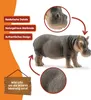 Schleich - Hipopotam 14814 Anteprima dell’immagine prodotto 5