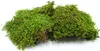 BioFlat Terrariummoos 500g - Naturel et sans substances Voir les images du produit 2