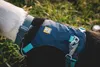 Ruffwear Hi & Light™ Hundegeschirr Produktbild-Vorschau 9