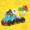 MEGA BLOKS HDL07, Sada na stavění, 1 rok/roky, Plast, 54 Náhled obrázku produktu 5