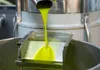 Bio-Olivenöl  ungefiltert Naturtrüb kaltgepresst 500ml aus Produktbild-Vorschau 3