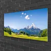 Acrylglasbilder 100x50 Wandbild Druck Felder Bäume Gebirge Produktbild-Vorschau 2