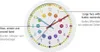 Hama Wandklok Voor Kinderen Easy Learning Diameter 30 Cm Anteprima dell’immagine prodotto 5