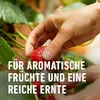 COMPO Beeren- und Obst Langzeit-Dünger für 45 m² - 2 kg Produktbild-Vorschau 10
