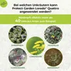 PROTECT GARDEN Loredo® Quattro Universal-Rasenunkrautfrei Produktbild-Vorschau 3