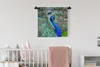 MuchoWow® Wandteppich Wandbehang Porträt - Pfau - Federn Produktbild-Vorschau 1