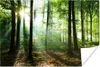 MuchoWow® Poster Wald - Sonne - Laub 90x60 cm - Produktbild-Vorschau 1