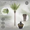 ML-Design Umelá palma 210 cm, tropická umelá palma, umelá Náhľad obrázku produktu 3