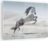 Bilder auf glas - Pferd Tier Natur - 70x50cm - Glasbilder - Produktbild-Vorschau 1