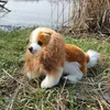 Peluche King Charles Spaniel 28 Cm Ecologico Anteprima dell’immagine prodotto 5