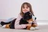 Berner Sennenhund, ca. 60 cm, 1 Stück Produktbild-Vorschau 5
