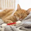 12 Stück Wattestäbchen,Katzenspielzeug mit Produktbild-Vorschau 6