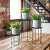 Three black metal plant stands of varying heights, each holding a potted plant, are arranged on a wooden table in a room with exposed brick walls and a staircase in the background. Náhľad obrázku produktu