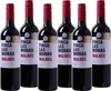Malbec San Juan 2023 San Juan | Argentinien | 12,5% vol | Produktbild-Vorschau 1