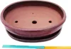 Bonsai-Schale mit Untersetzer, Größe 6 – rot – oval – Produktbild-Vorschau 3