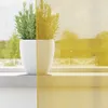 vidaXL Voile Rideaux avec oeillets 2 pcs. Jaune Voir les images du produit 3