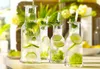 Stölzle Oberglas Glaskaraffe Purity / 3er Set Kleine Produktbild-Vorschau 3