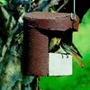 SCHWEGLER Demi-cavité "2H" Maisonnette pour oiseaux Couvoir Voir les images du produit 5