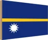 vianmo Holzschild 20x30 cm Naurus Nauru Flagge Fahne Wappen Produktbild-Vorschau 1