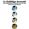 POKÉMON Cards Collect 151 HOPE Coin-Set CHI | 3 Booster | Produktbild-Vorschau 2