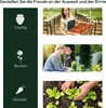 Szklarnia Fortuna Lai, szklarnia z drzwiami, inspekt, domek Podgląd zdjęcia produktu 5
