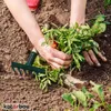KOTARBAU® Metall Rechen für Garten 11,5 cm Handrechen mit Produktbild-Vorschau 7