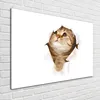 Tulup® Glas-Bild - 100 x 70 - Wandbild aus Glas - Wandkunst Produktbild-Vorschau 2